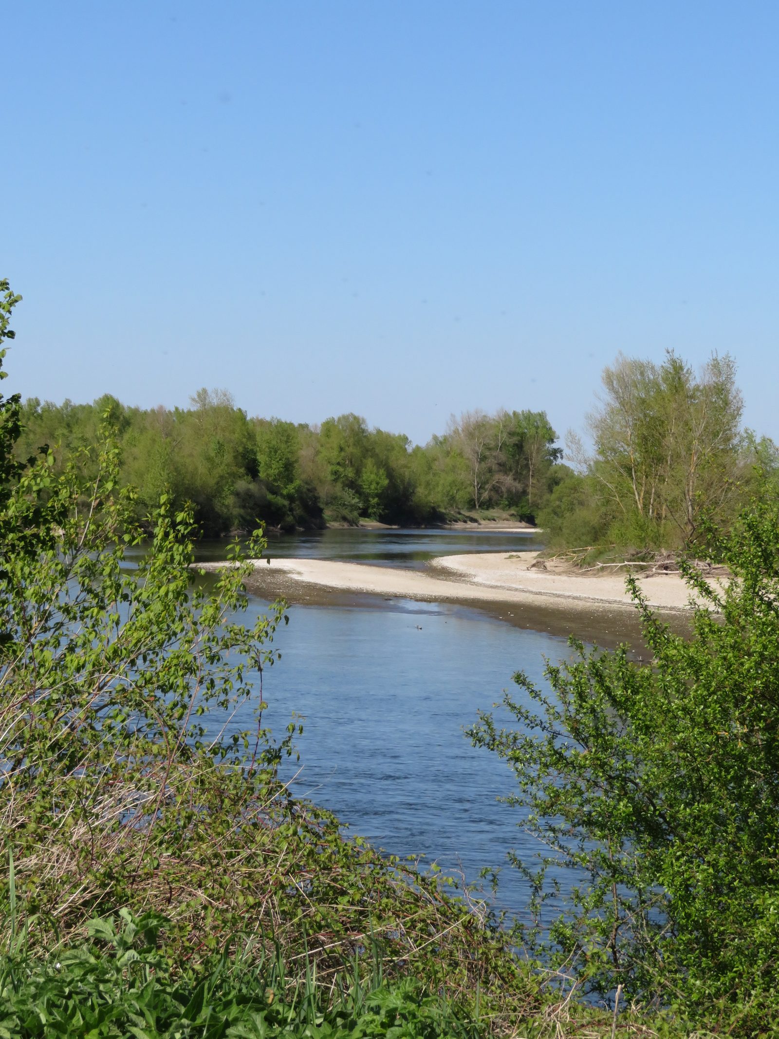 Vallée de l'Allier, pêche et nature près de La Bastide-Puylaurent